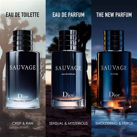 scents like dior sauvage|Dior Sauvage scent description.